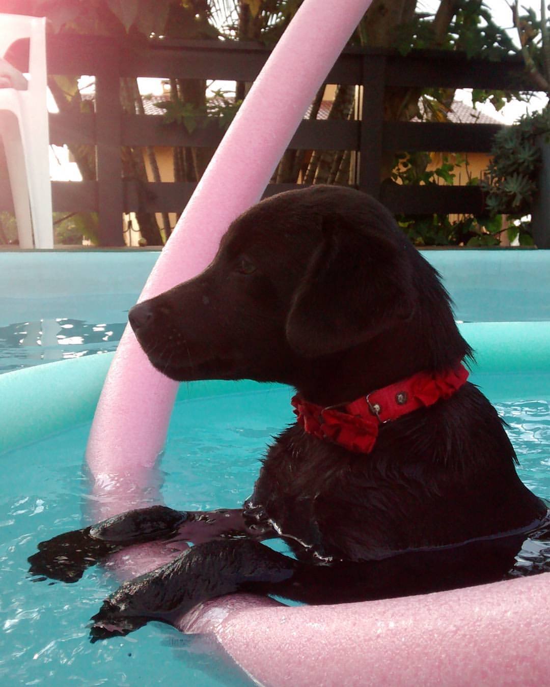 Lana in the pool