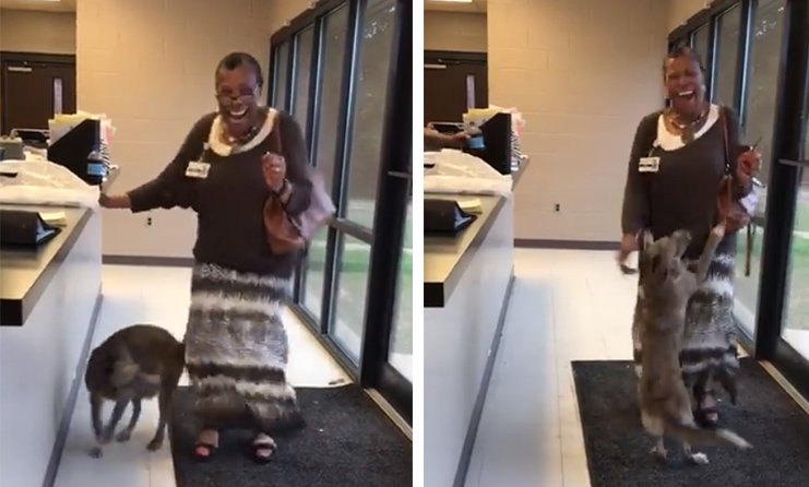Lost dog can not believe she's seeing her mom again